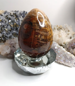 Petrified Wood Fossilized Egg with Crystal Stand