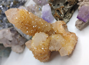 Rare Citrine Spirit Cactus Quartz Crystal Cluster