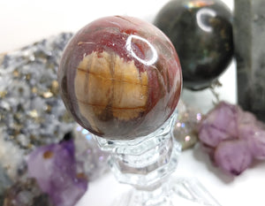Petrified Wood Fossilized Sphere with Crystal Stand