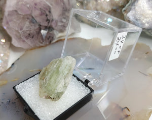 Hiddenite Kunzite Crystal in Display Case
