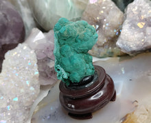 Load image into Gallery viewer, Velvet Malachite Mineral Specimen on Stand
