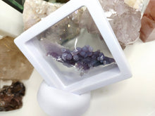 Load image into Gallery viewer, Botryoidal Grape Agate in Display Case
