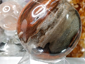 Petrified Wood Fossilized Druzy Sphere with Stand
