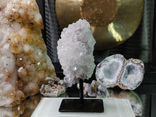 Load image into Gallery viewer, Flower Amethyst Crystal Cluster on Stand
