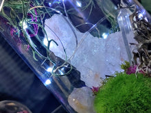 Load image into Gallery viewer, Himalayan Salt &amp; Quartz in Led Plastic Dome
